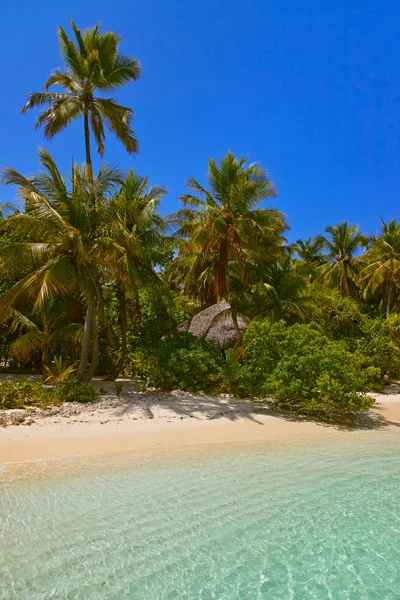 Isla de las Maldivas tropicales — Foto de Stock