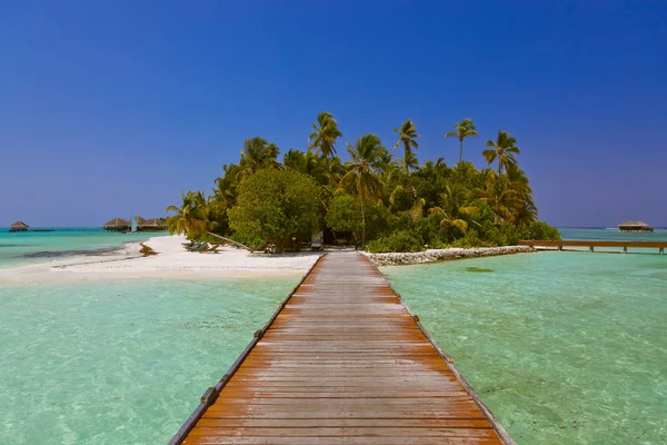 Isla de las Maldivas tropicales — Foto de Stock