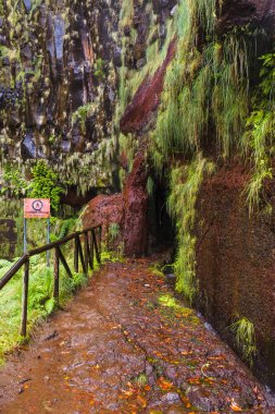 Madeira Portekiz 'de Risco Levada