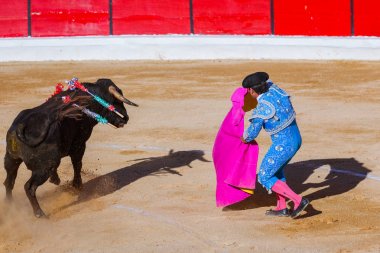 Moita Lizbon, Portekiz - 14 Eylül: Matador ve boğa toura