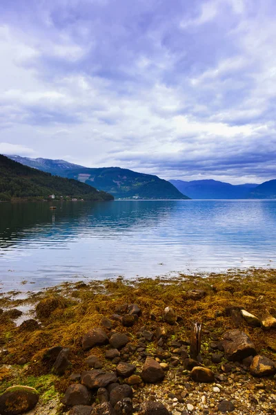 Fjord Hardanger Norvège — Photo