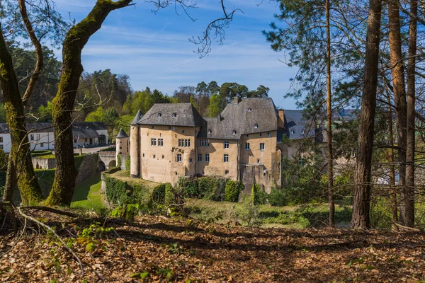 Bourglinster замок в Люксембурзі — стокове фото