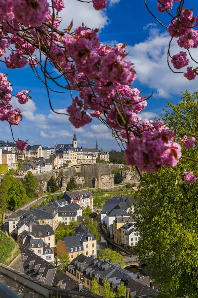 Paisaje urbano de Luxemburgo —  Fotos de Stock