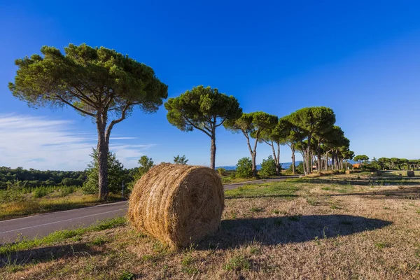 Hooibalen op een veld in de Toscane-Italië — Stockfoto