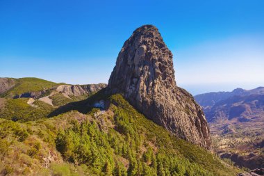 la gomera Adası - Kanarya kayalarda