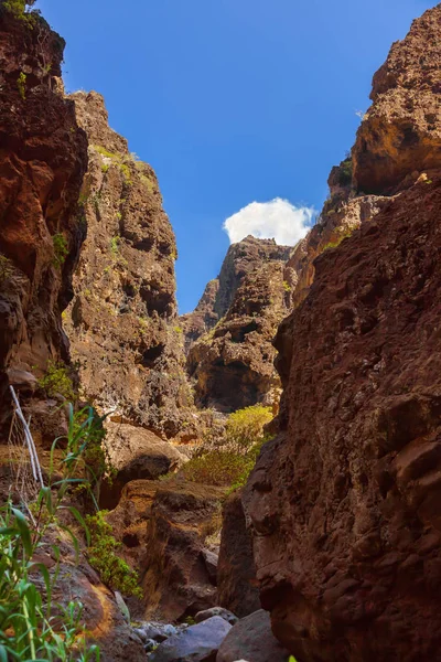 Berühmte Canyon Masca auf Teneriffa - Kanarienvogel — Stockfoto