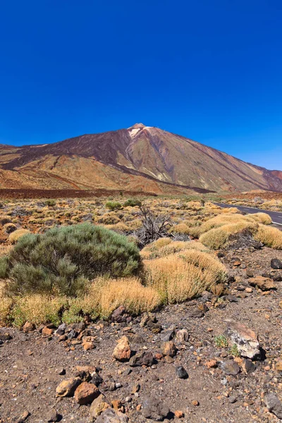 Volcano Teide in Tenerife island - Canary — Stock Photo, Image