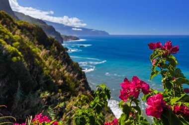 Flowers on coast in Boaventura - Madeira Portugal clipart