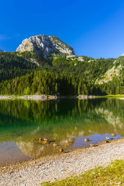 Kara Göl (Crno Jezero) Durmitor - Karadağ