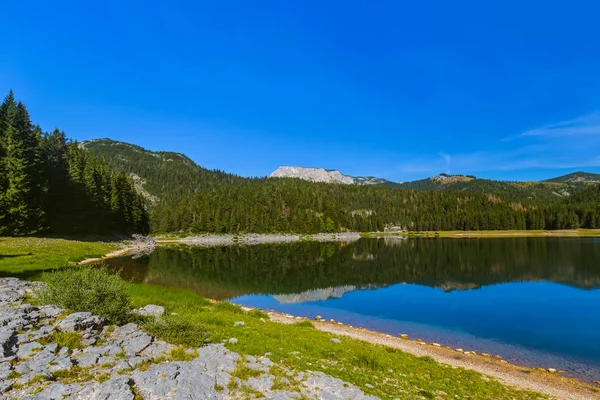 Чорний озера (Crno Jezero) в Дурмітор - Чорногорія — стокове фото