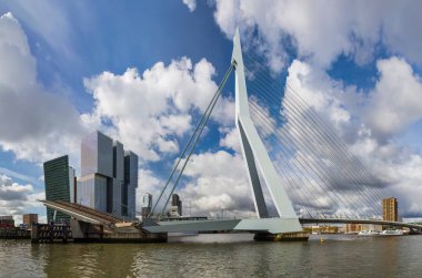 Erasmus Köprüsü ve Rotterdam cityscape - Hollanda