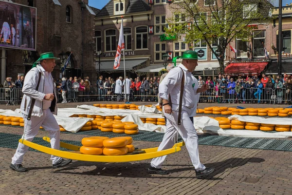 Alkmaar, Holanda - 28 de abril de 2017: portadores de queijo no tradit — Fotografia de Stock