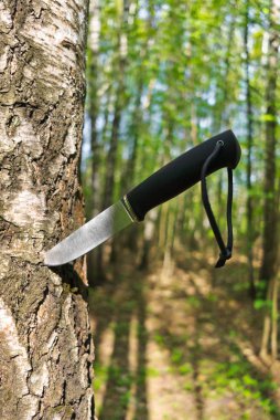 Bir ağaç sıkışmış bıçak
