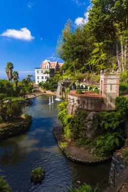 Monte tropikal Bahçe ve Palace - Madeira Portekiz