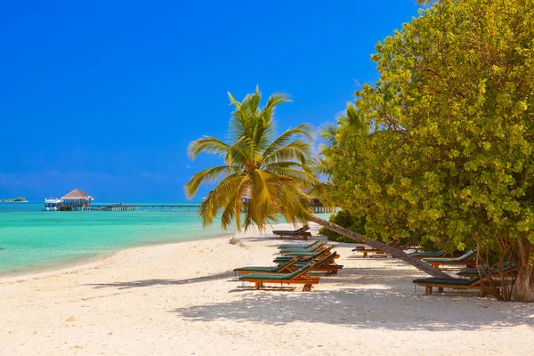 Ligstoelen op Maldiven strand — Stockfoto