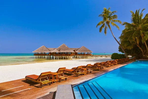 Swimmingpool og cafe på Maldives strand - Stock-foto