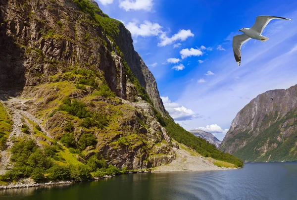 Fjord Naeroyfjord in Norway - famous UNESCO Site — Stock Photo, Image