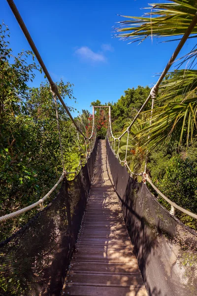 Footpath in jungle - Tenerife Canary islands — Stock Photo, Image