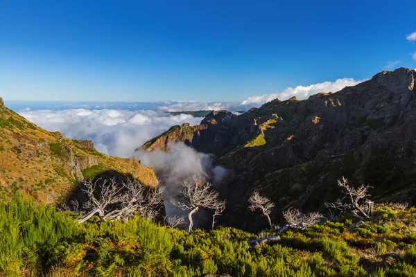 Vandring Pico Ruivo och Pico do Arierio - Madeira Portugal — Stockfoto