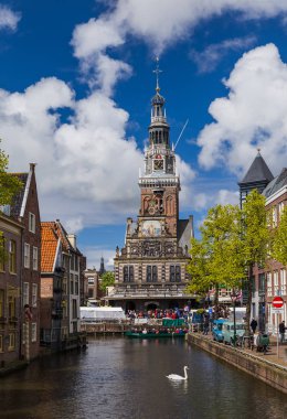 Alkmaar, Hollanda - 28 Nisan 2017: Kuğu Yüzme chan