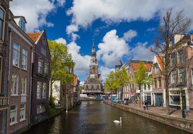 Alkmaar, Hollanda - 28 Nisan 2017: Kuğu Yüzme chan