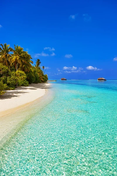 Playa tropical en las Maldivas — Foto de Stock