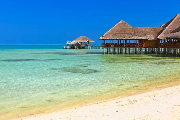 Café en la isla tropical de Maldivas — Foto de Stock