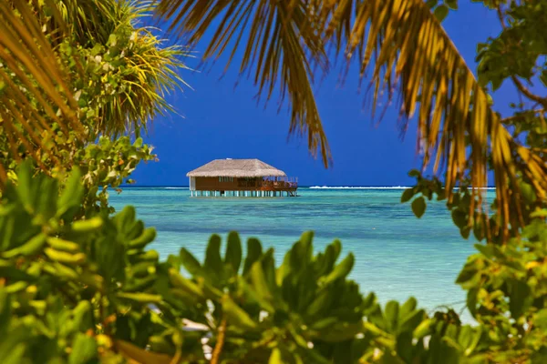 Bungalows on tropical Maldives island — Stock Photo, Image