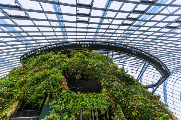 Kopuły Cloud Forest w ogrodach nad zatoką w mieście Singapur — Zdjęcie stockowe