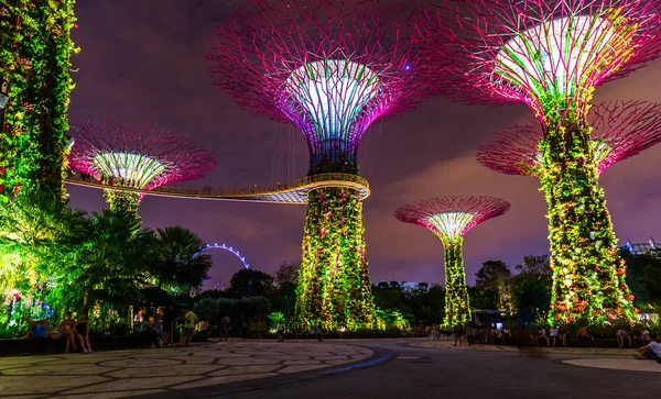 Park Gardens by the Bay - Singapur —  Fotos de Stock