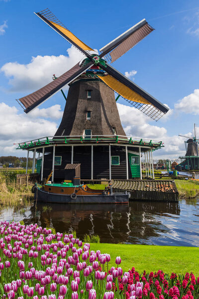 Windmills and flowers in Netherlands