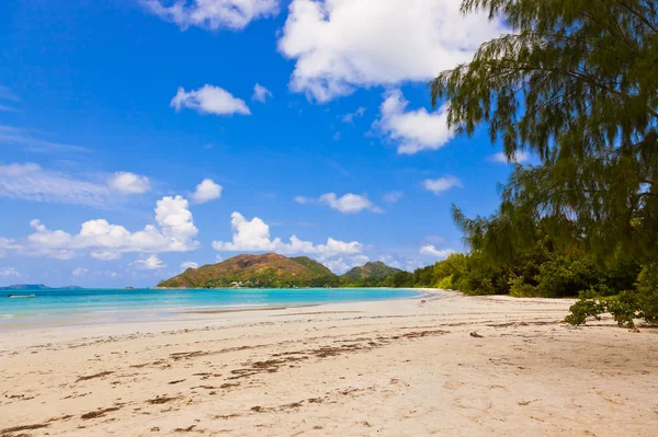 Den tropiske stranden Cote d 'Or - øya Praslin Seychellene – stockfoto