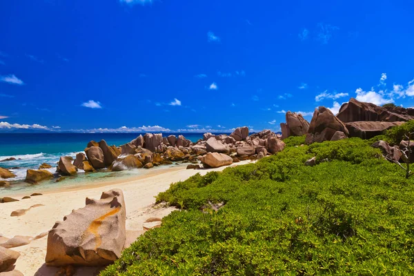 Seyşel Adaları, tropik sahil