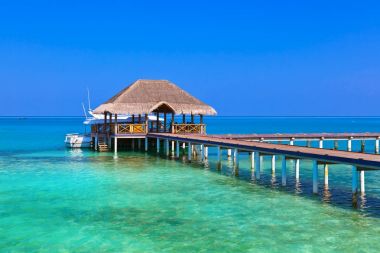 Tropik Maldivler ada Cafe