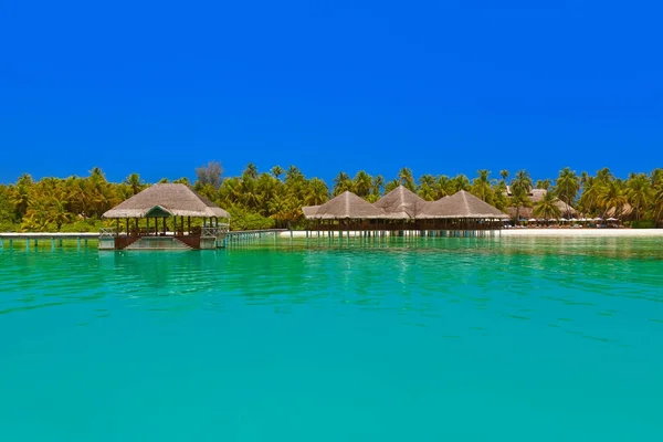 Café sur l'île tropicale des Maldives — Photo