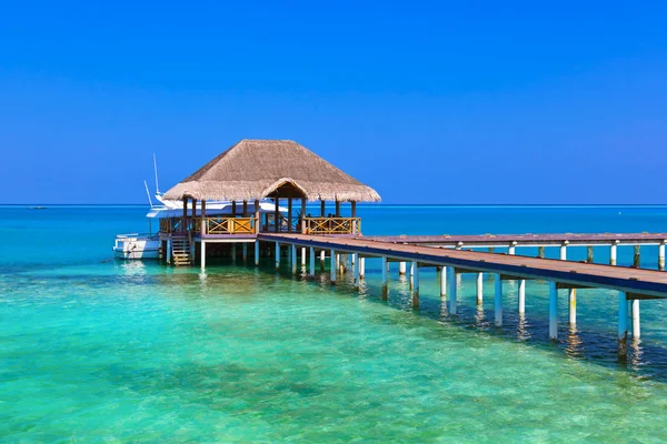 Tropik Maldivler ada Cafe