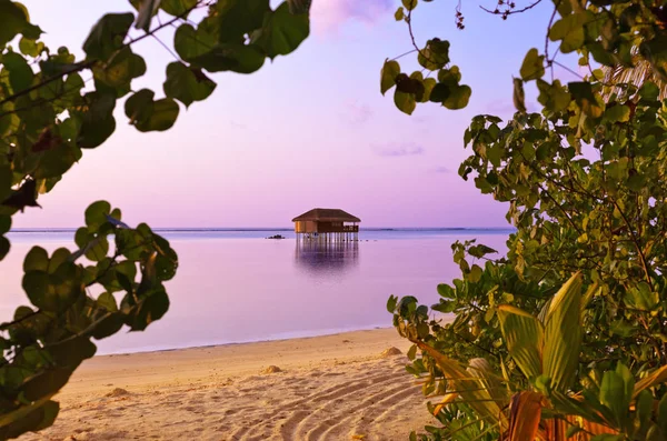 उष्णकटिबंधीय मालदीव द्वीप पर पानी बंगला — स्टॉक फ़ोटो, इमेज