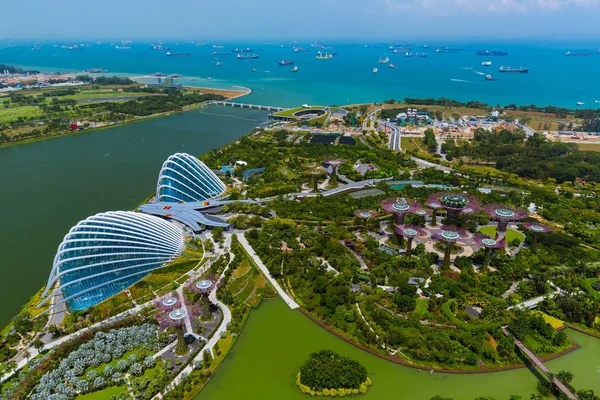 Park Gardens by the Bay - Cingapura — Fotografia de Stock