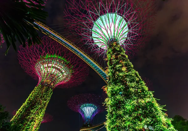 Park bahçeler Körfez - Singapur