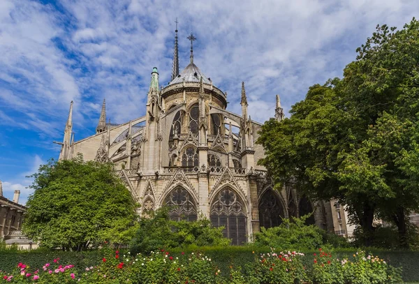 Notre Dame de Paris cathedral - France — Stock Photo, Image