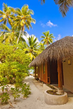 Beach bungalow - Maldivler