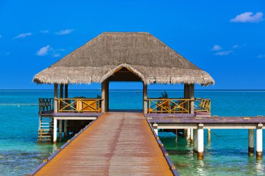 Tropik Maldivler ada Cafe