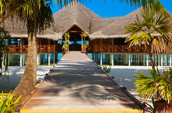 Tropik Maldivler ada Cafe