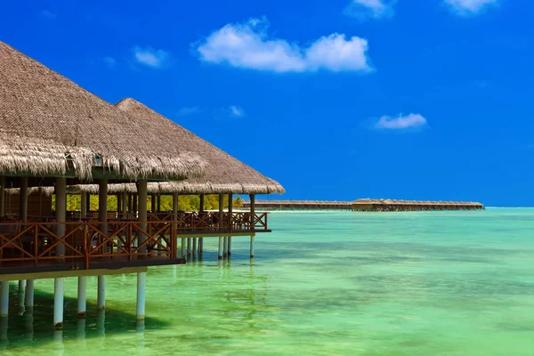 Café en la isla tropical de Maldivas — Foto de Stock