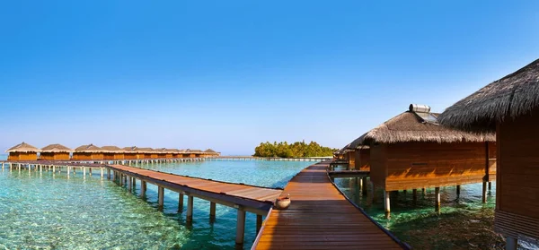 Bungalows sur les Maldives tropicales île — Photo