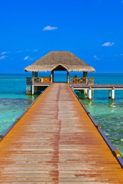 Cafe na tropickém ostrově Malediv — Stock fotografie
