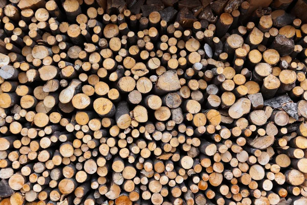 Firewood logs wood background — Stock Photo, Image