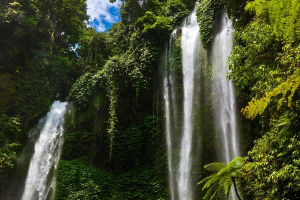Sekumpul waterfall - Bali island Indonesia — Stock Photo, Image