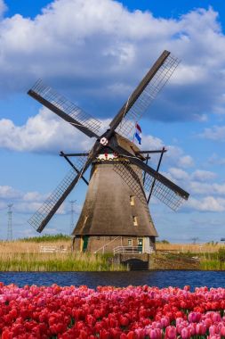 Yel değirmenleri ve Hollanda çiçek