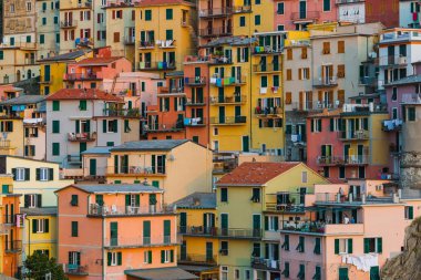 Cinque Terre 'de Manarola - İtalya